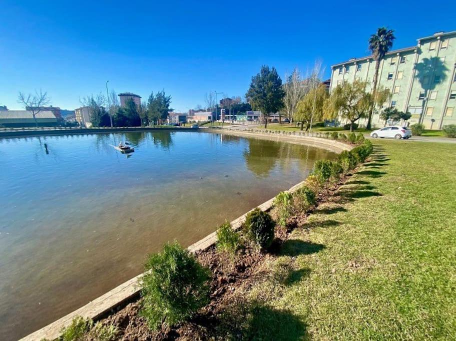 Apartamento Renovado No Centro Da Cidade - Casa4 Coimbra Ngoại thất bức ảnh